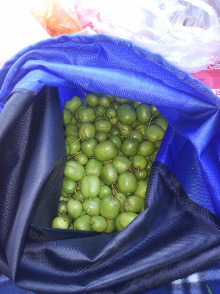 QQ图片20160829135537