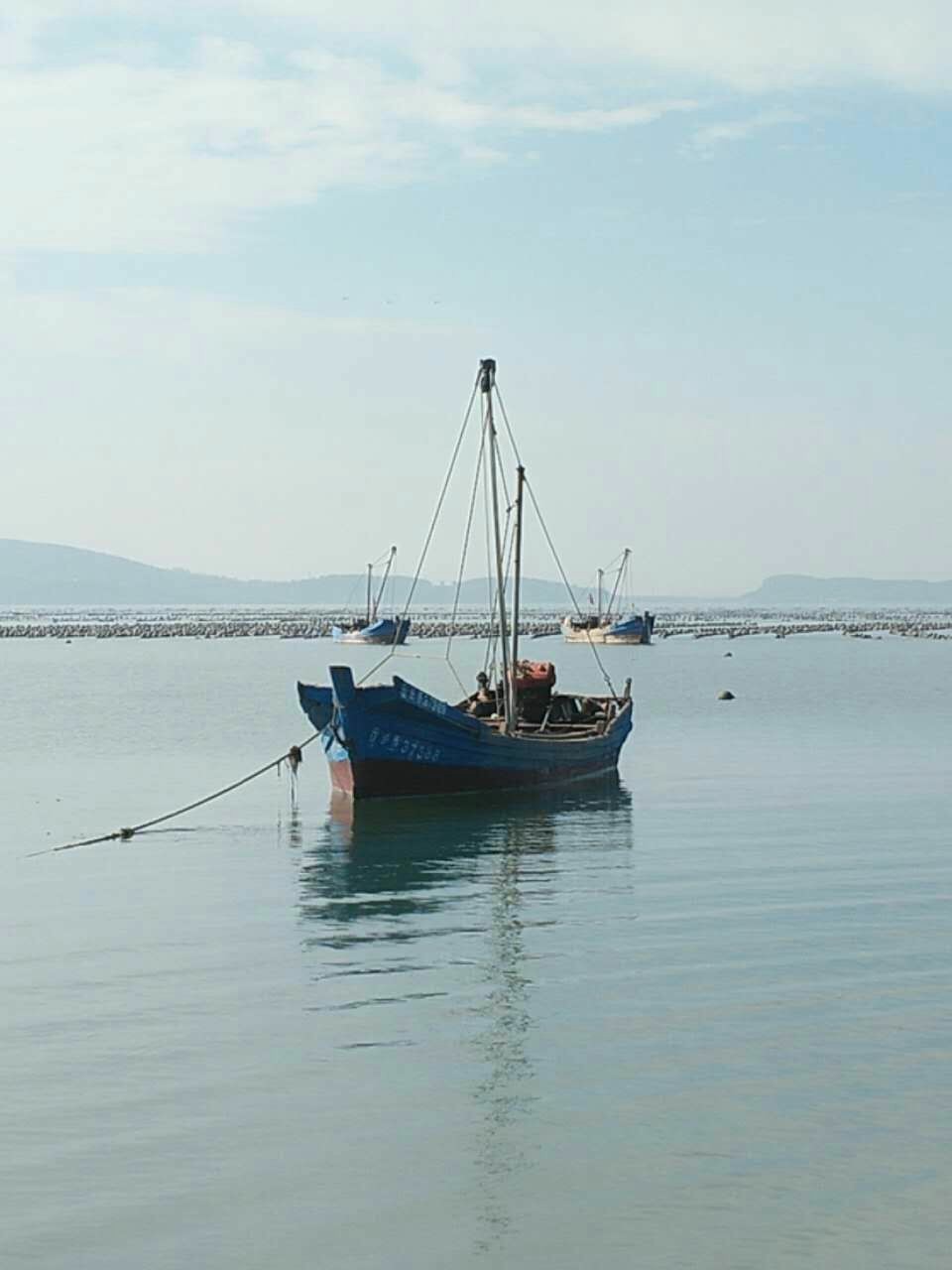 mmexport1502157846939