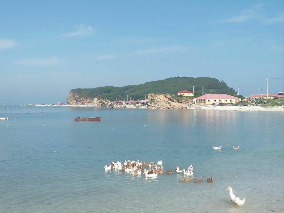 mmexport1502157835136