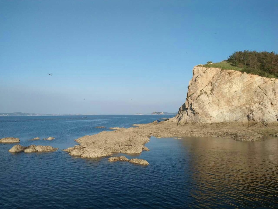 mmexport1502157892270