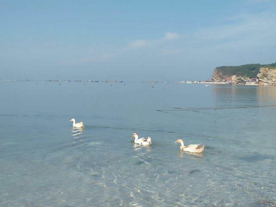 mmexport1502157859477