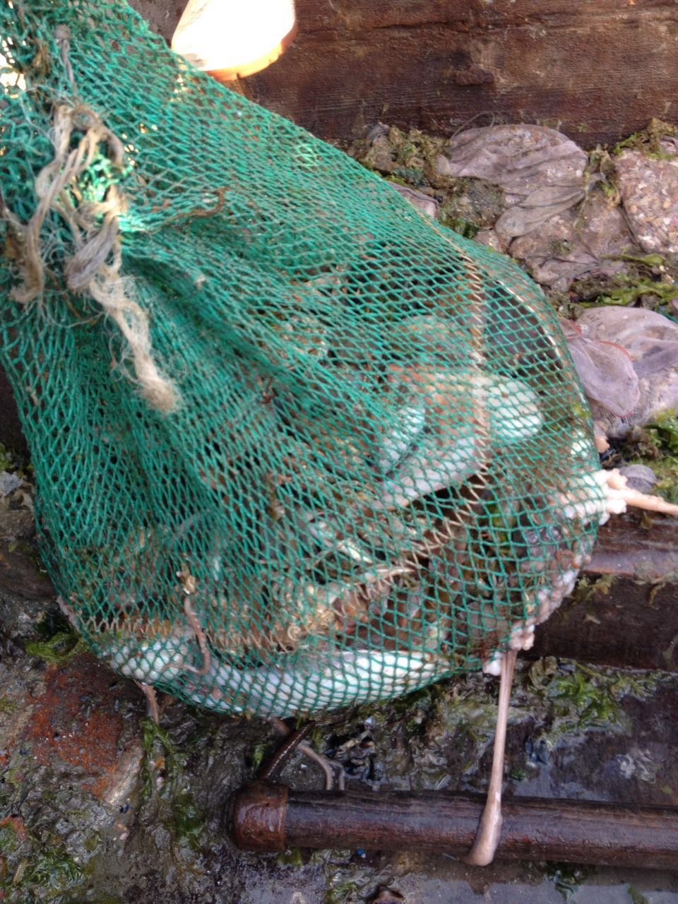 微信图片_20170522104130