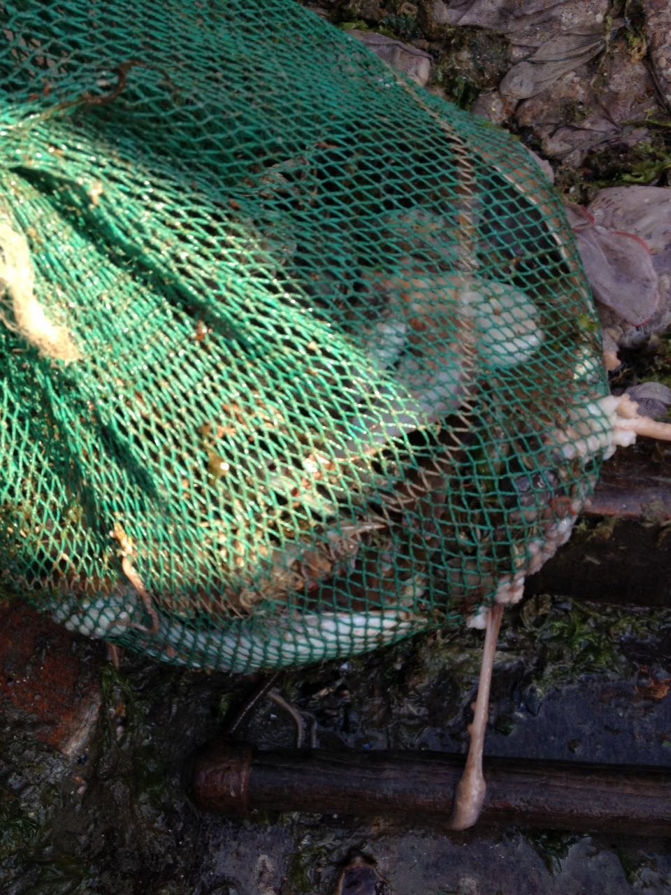 微信图片_20170522104134