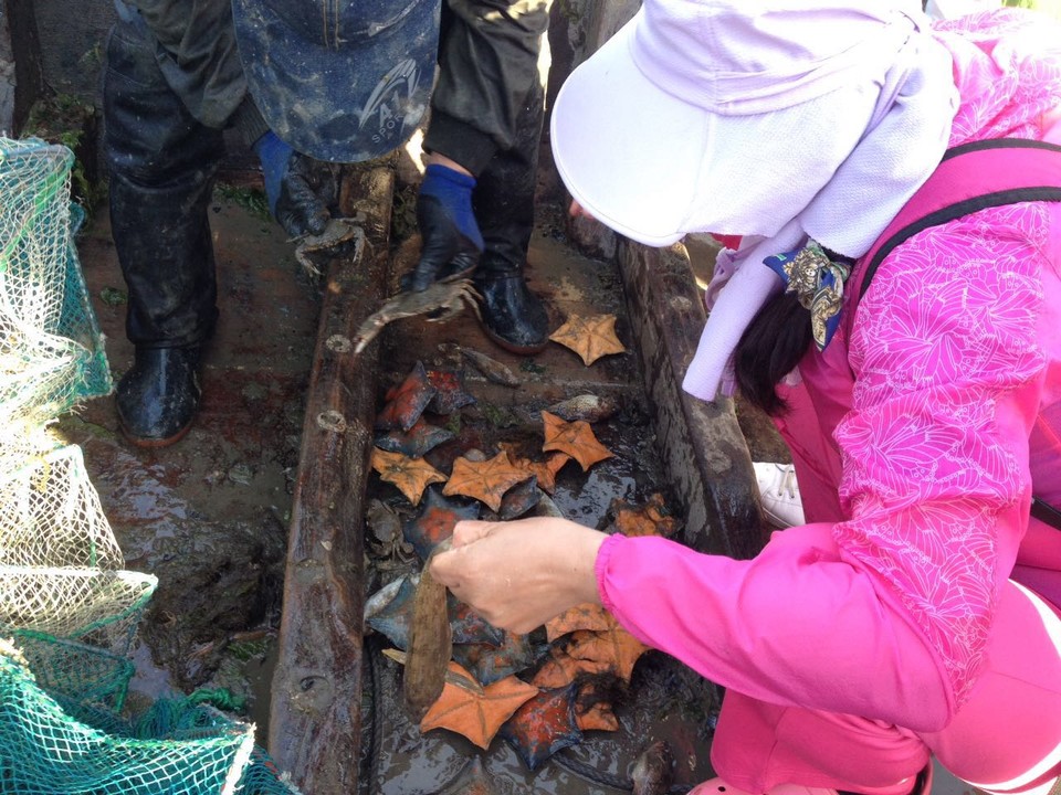 微信图片_20170522104143