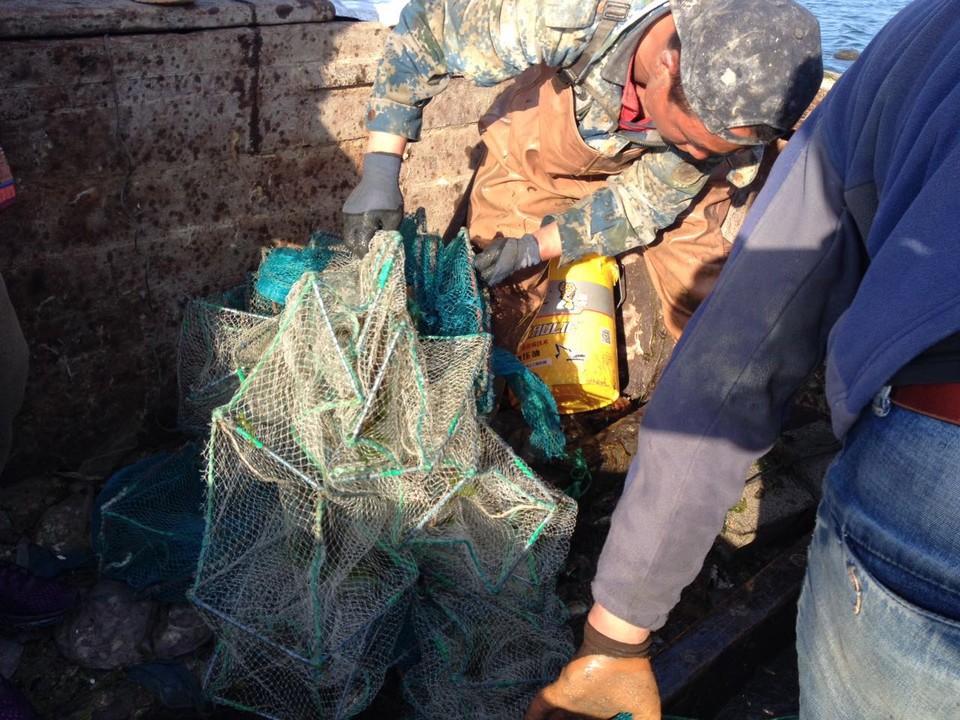 微信图片_20170522104147