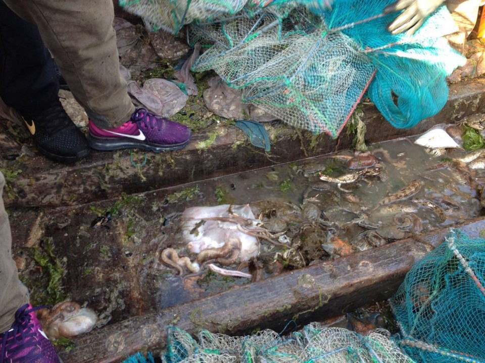 微信图片_20170522104153