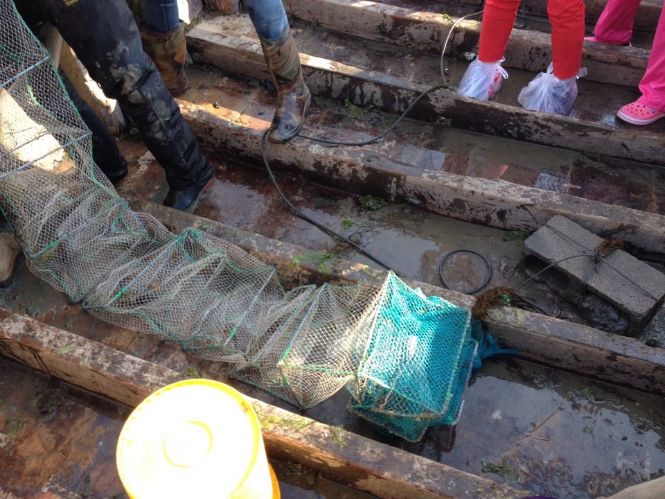 微信图片_20170522104157