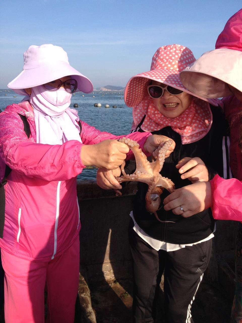 微信图片_20170522104204