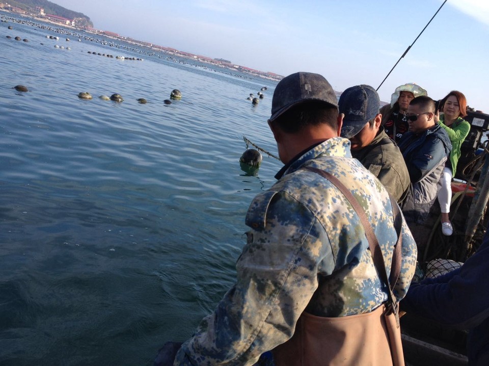 微信图片_20170522104215