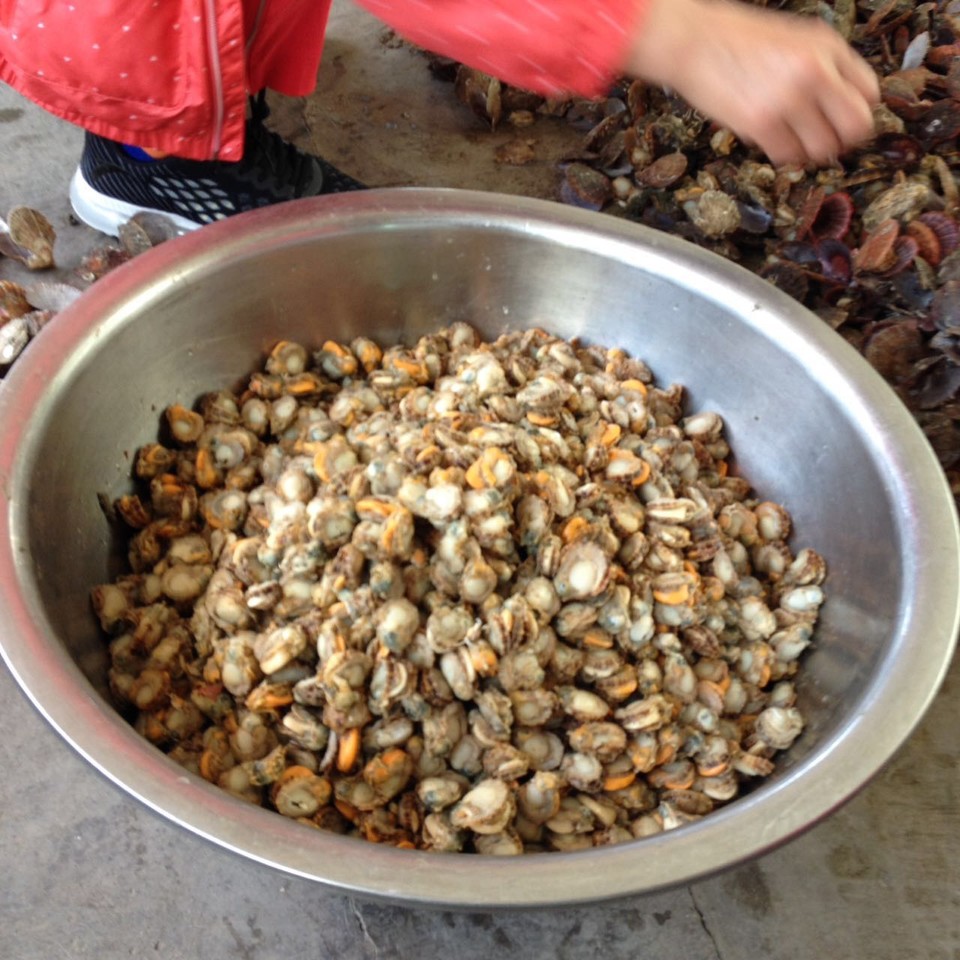 微信图片_20170522104248