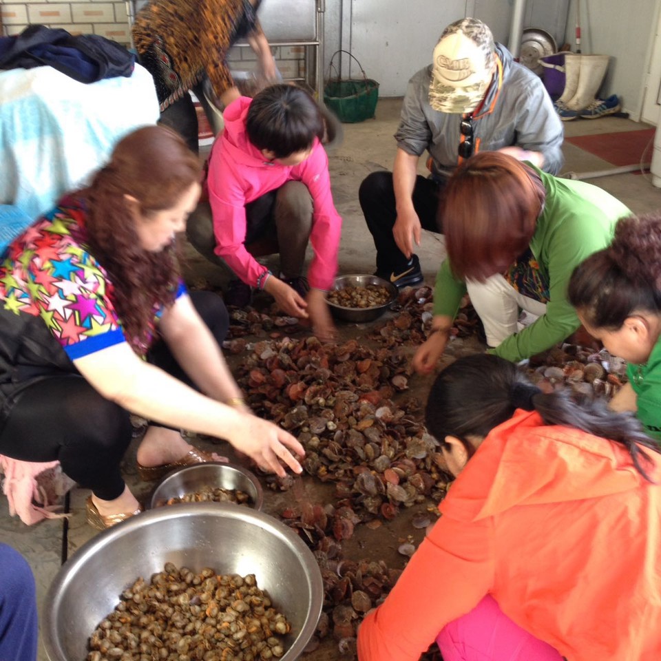 微信图片_20170522104258