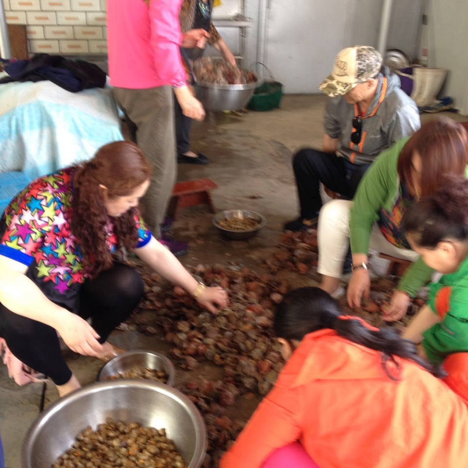 微信图片_20170522104302