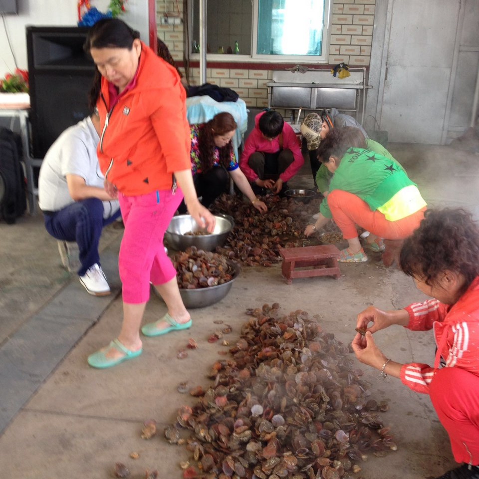 微信图片_20170522104305