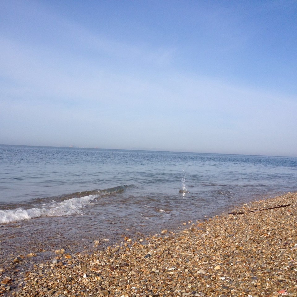 微信图片_20170522104307