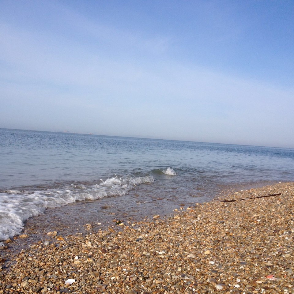 微信图片_20170522104309