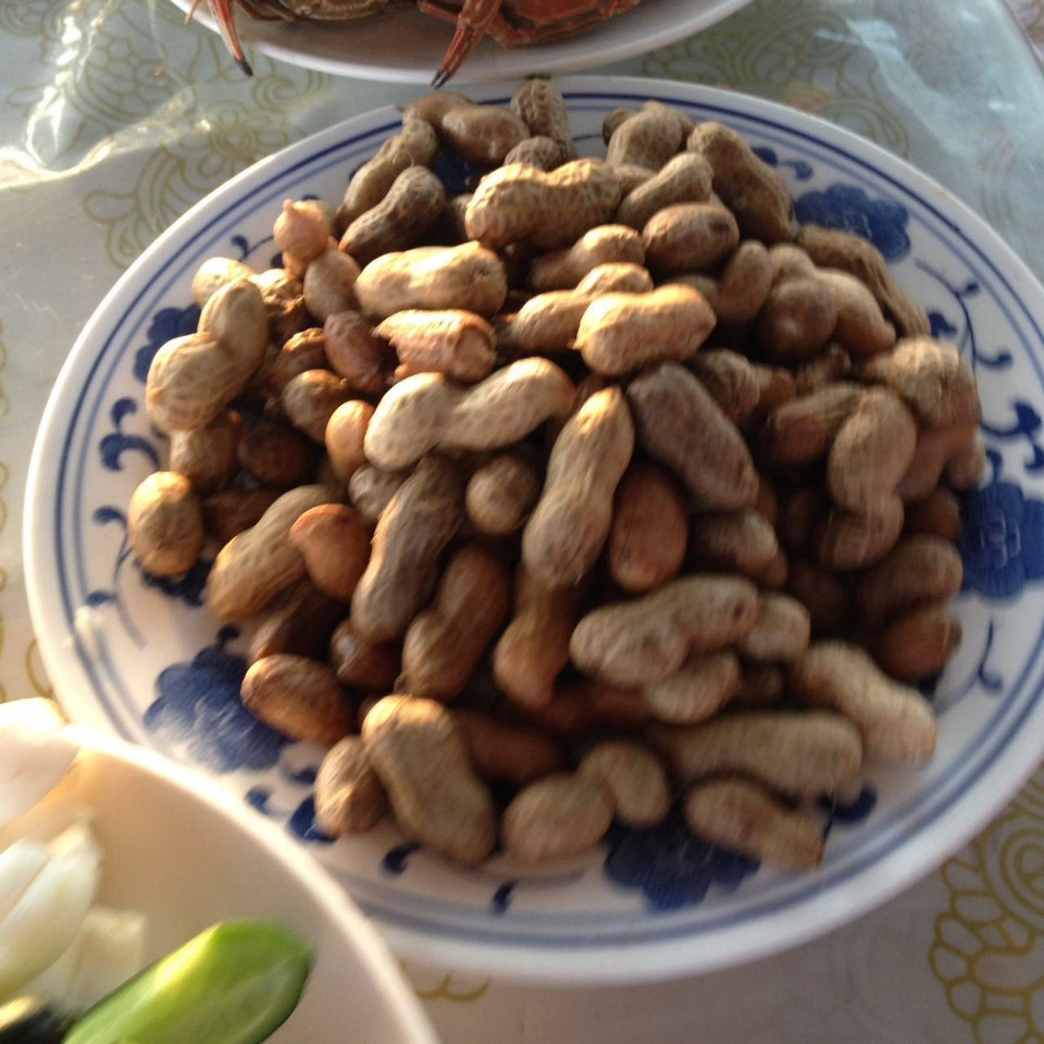 微信图片_20170522104349