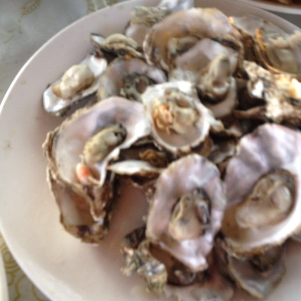 微信图片_20170522104401