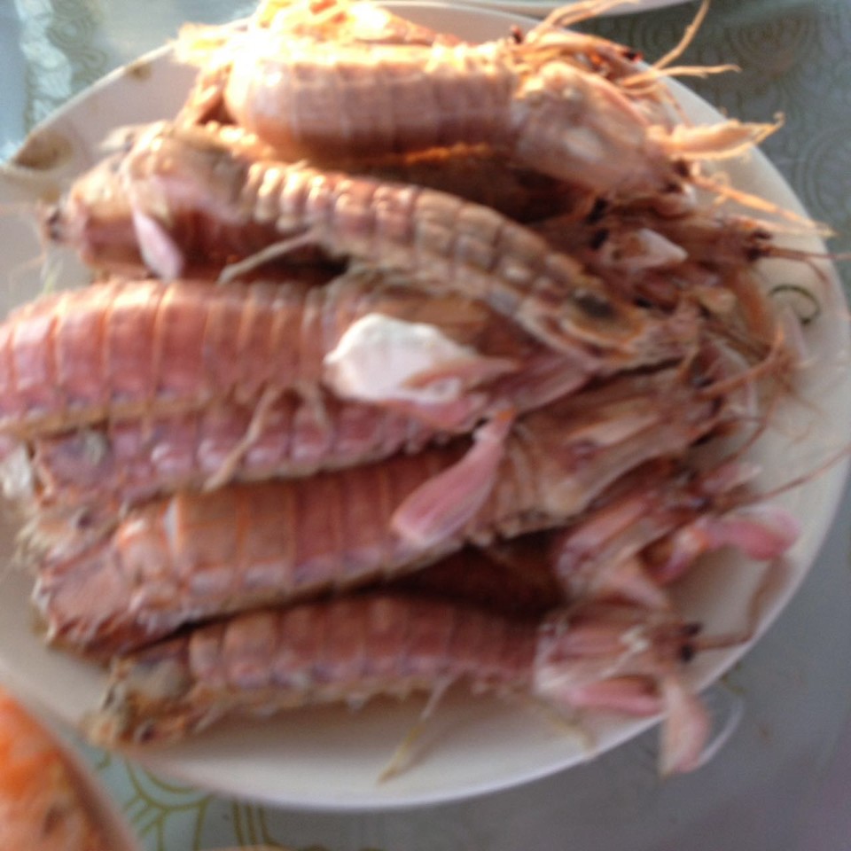 微信图片_20170522104406