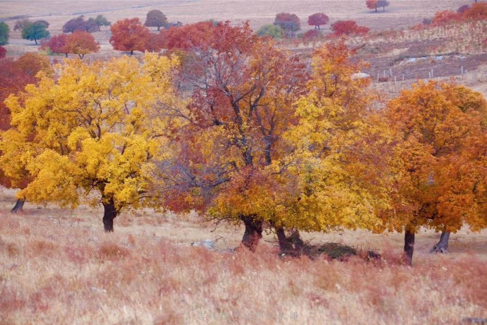 微信图片_201710091042502