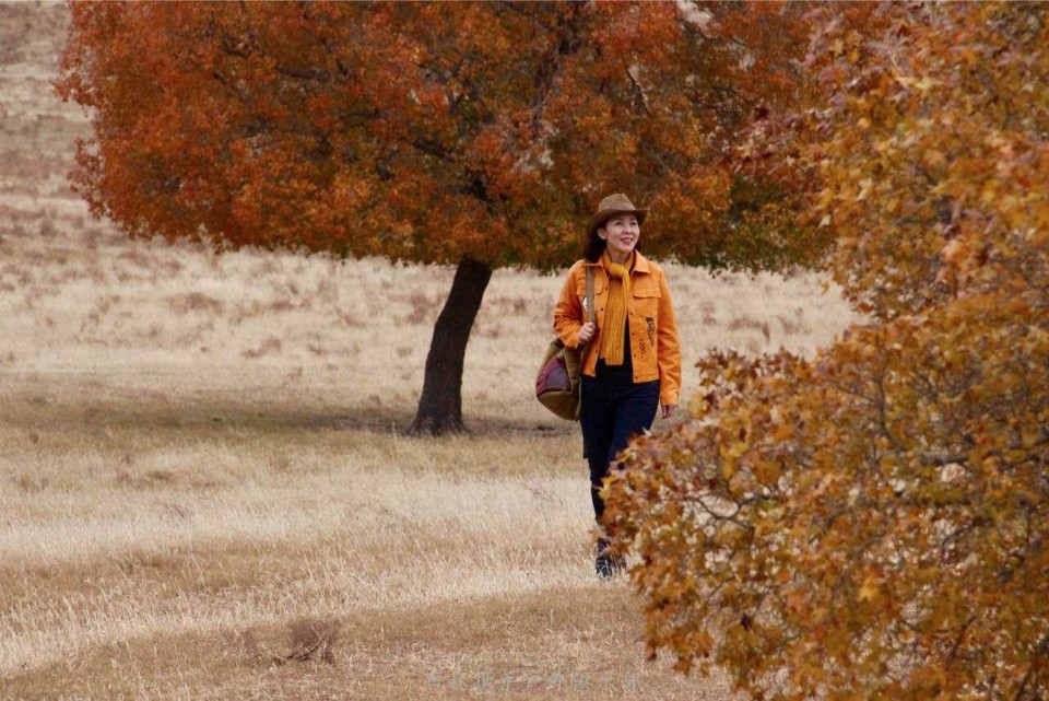 微信图片_201710091043151