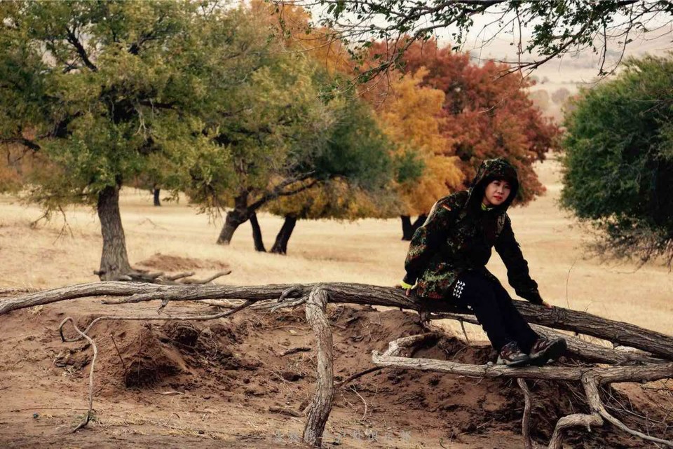 微信图片_201710091043154