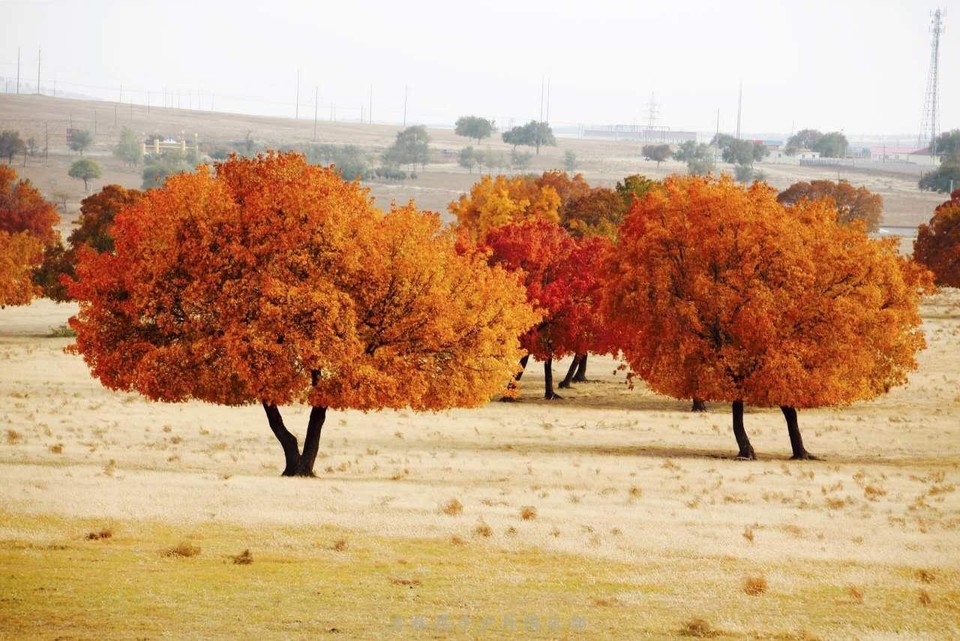 微信图片_201710091043158