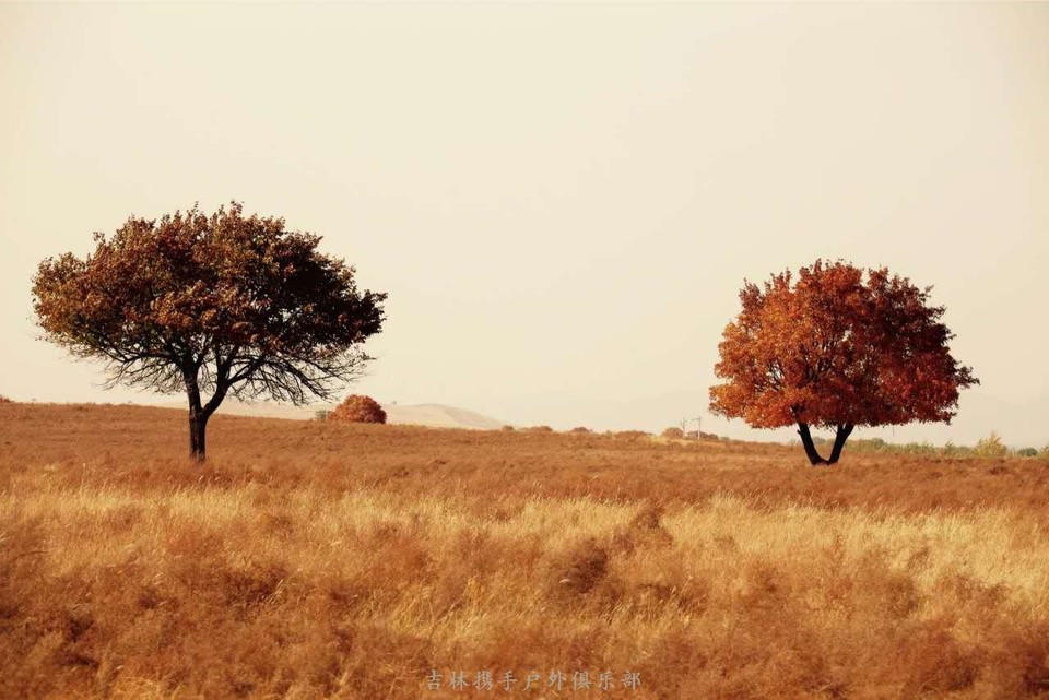 微信图片_2017100910431514