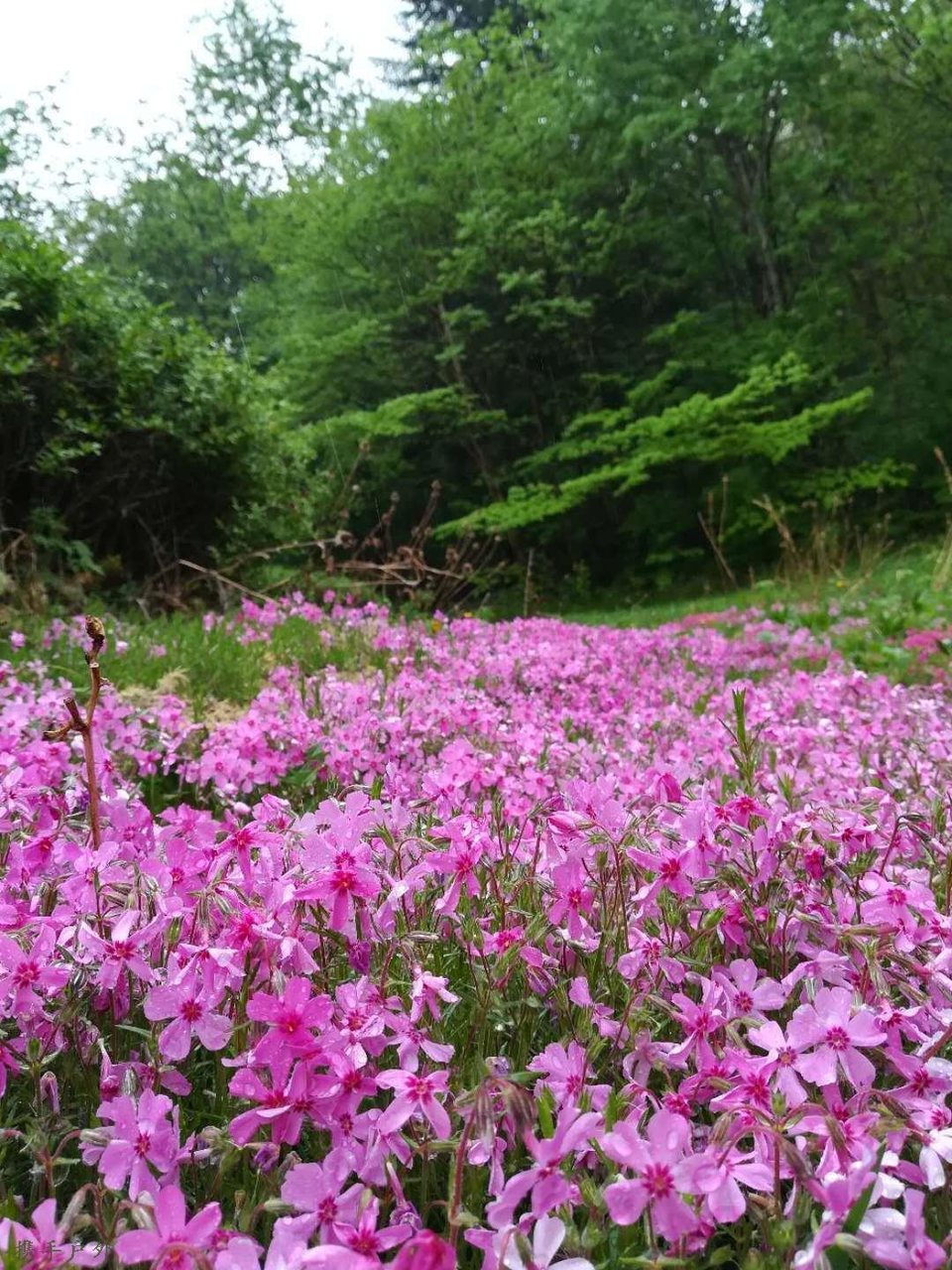 SpnZZgTAPC4_8YrjqWBBytlQy_OyzxuXU1kCxgi4Rkrp_6EDh4Q_YB55QE9_Ao1J