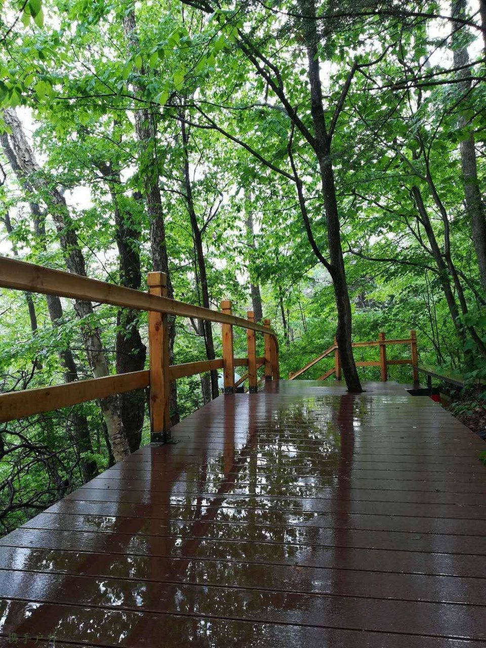 OWovVSFv5Z4vwqqRoqZRTYW0-BkhkOGi26vJDhs4IeOKkZrxClwcxkBtp6lqRRTQ