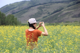 呼伦草原深度游