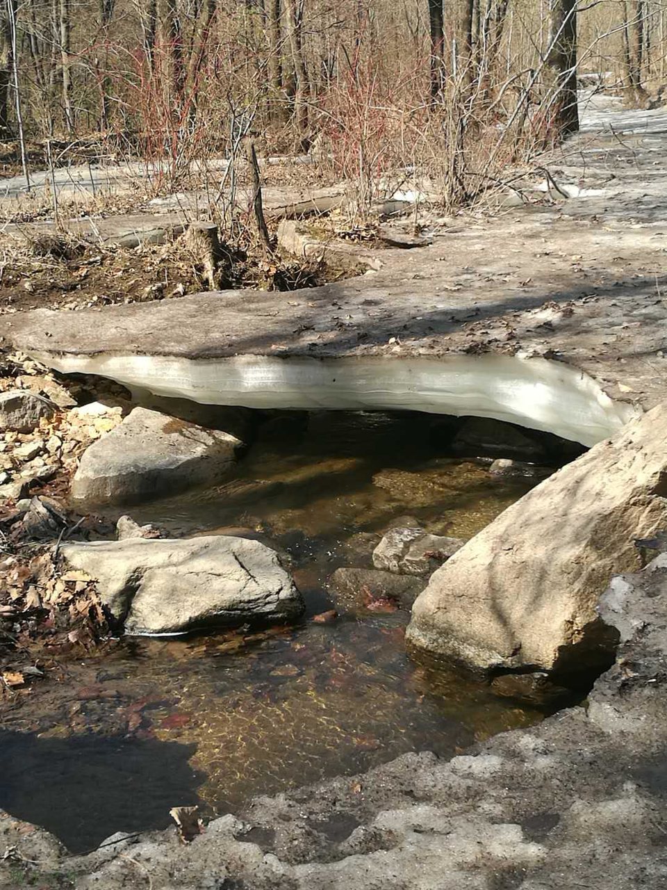 t34NN3W8Nu1Sy2riwMnBYNpJz4VIaekmWlKZRMgdtTWc9MH7M3PrgqfHRvXXHYYz