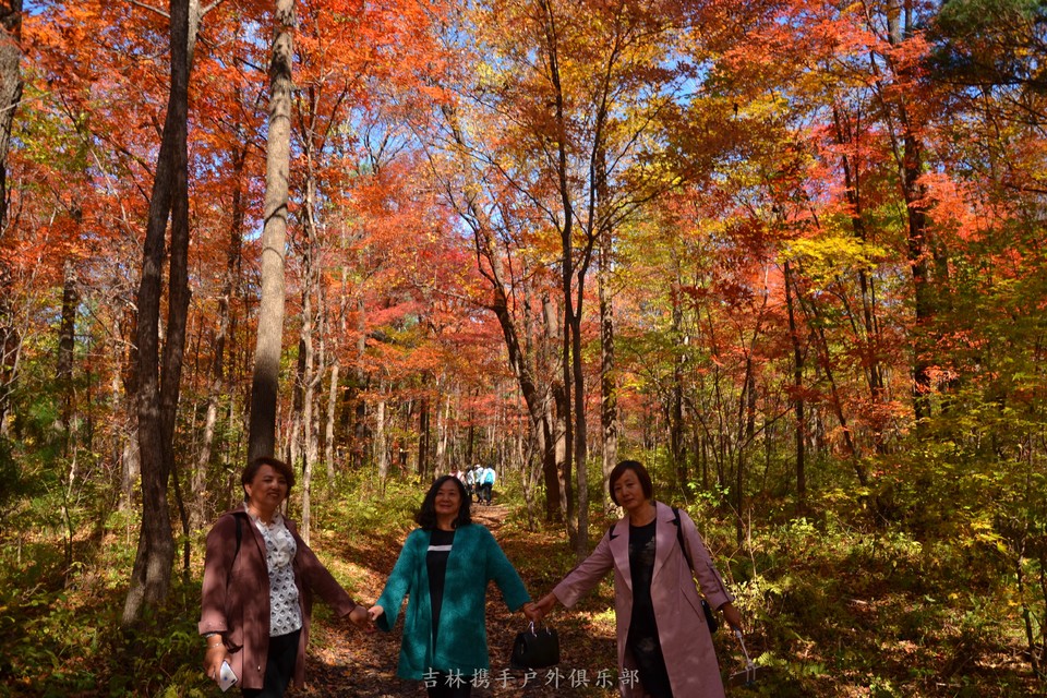 大秃子红叶长廊