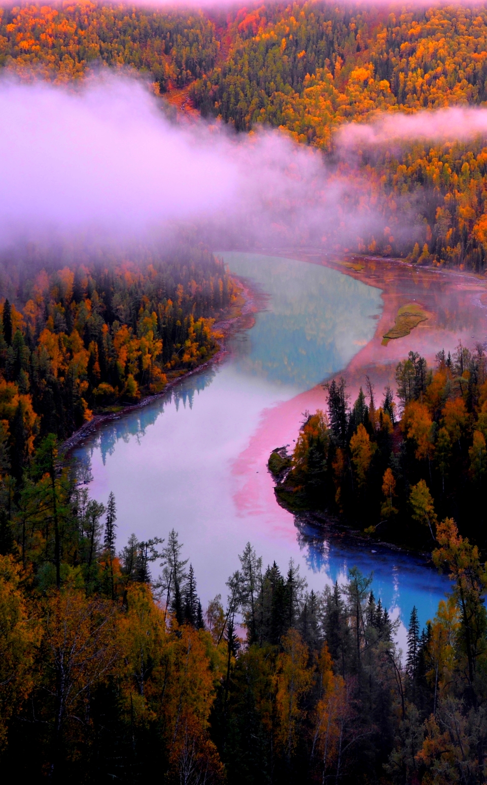 DSC_9655_副本_看图王