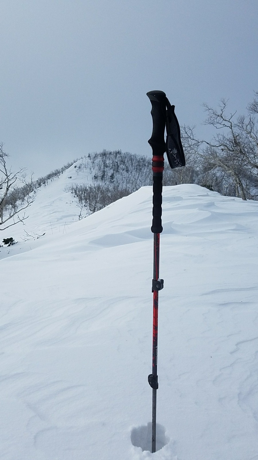 mmexport1480891416188