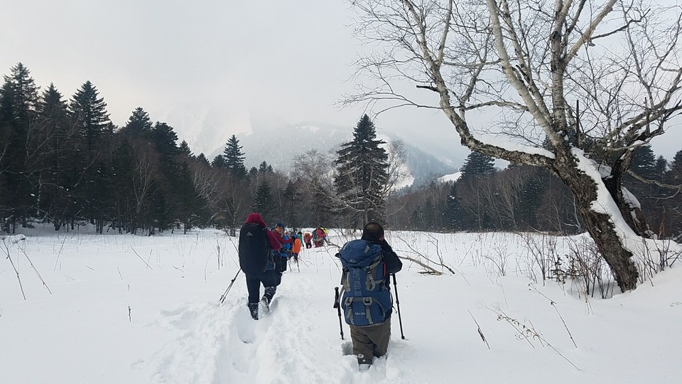 mmexport1480891746232