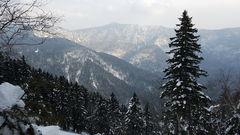 mmexport1480891378929