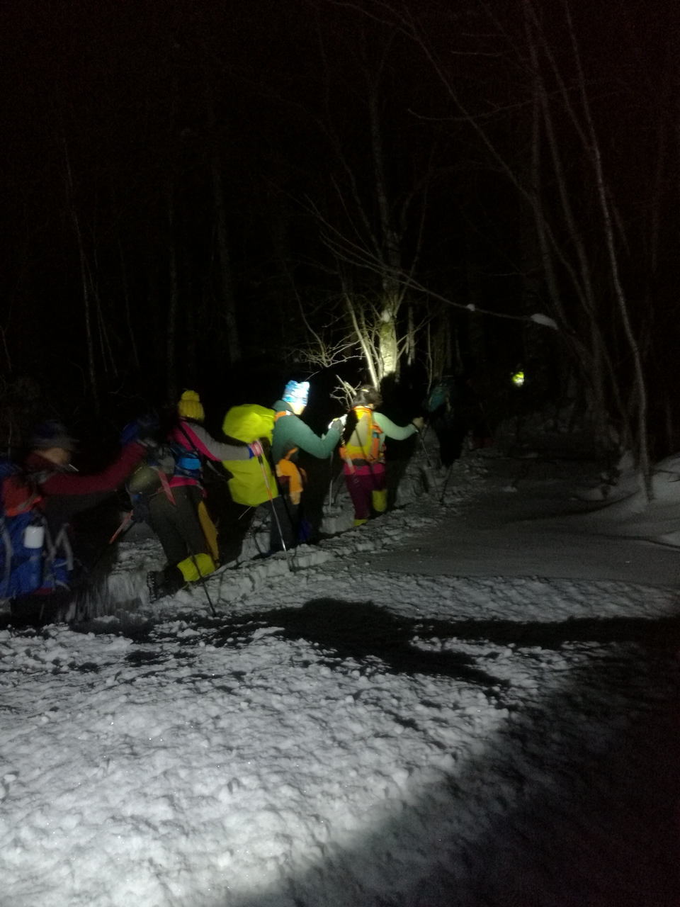 IMG_20161204_054649_1