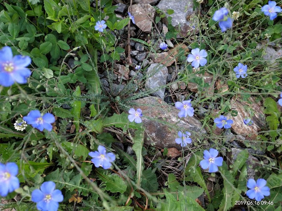 CVi1NMluTk9_sQohA_O5ZutJcKXaAUb5pwaEb0blxWEGrXw5MciS-rVx3Ro3kjIM