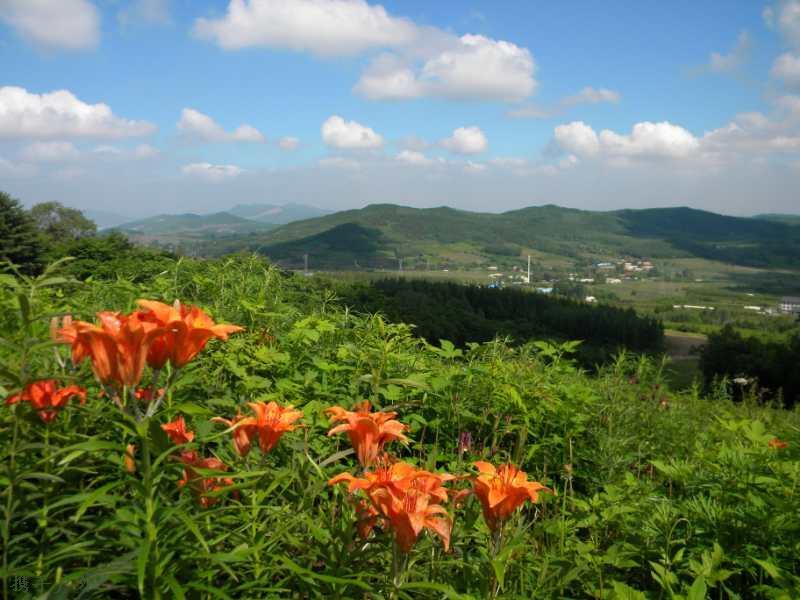 F7ypov8Gw0LUMH-Ff9bTqHjqI-RjcqHMyChU6qXtnMHOA2K1LOak09VM9CLCpMz1