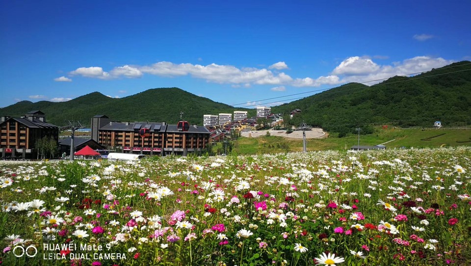 3LyBBBHWIik_m1LiCWD67I0nF_7TNbaJD8E3zRkXtDt5wRTpRkhF3Q_4oj4NonnG