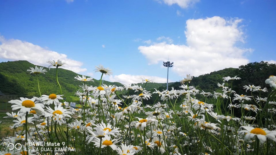 zRkY-J70cNRGHTZ7bbOnhv4jQqgHsh7kqBVpVCnMRmIQ1rGmc2ar1xuIngWaYDd9