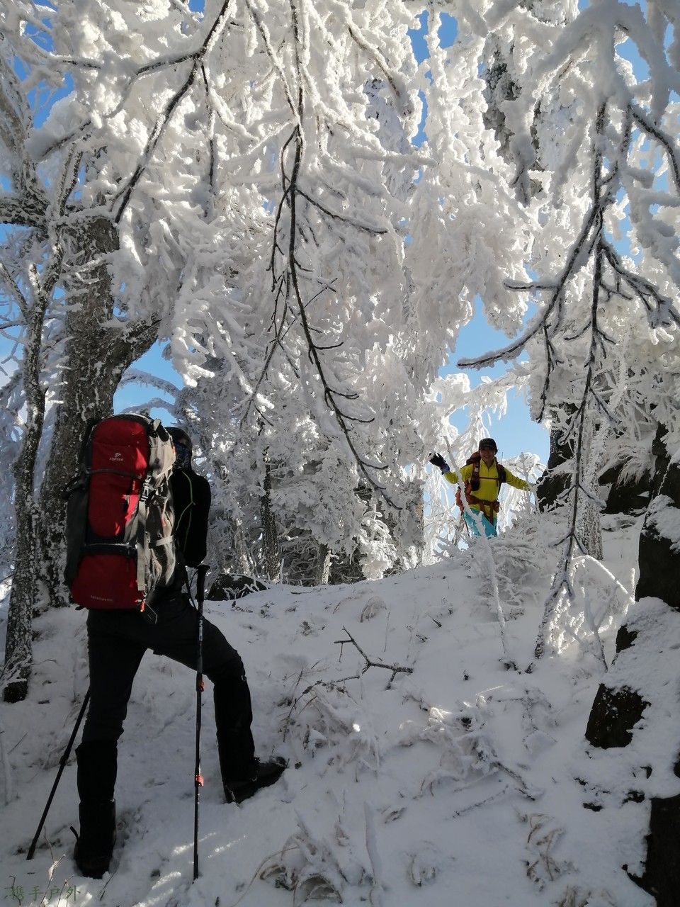 mmexport1606600244725