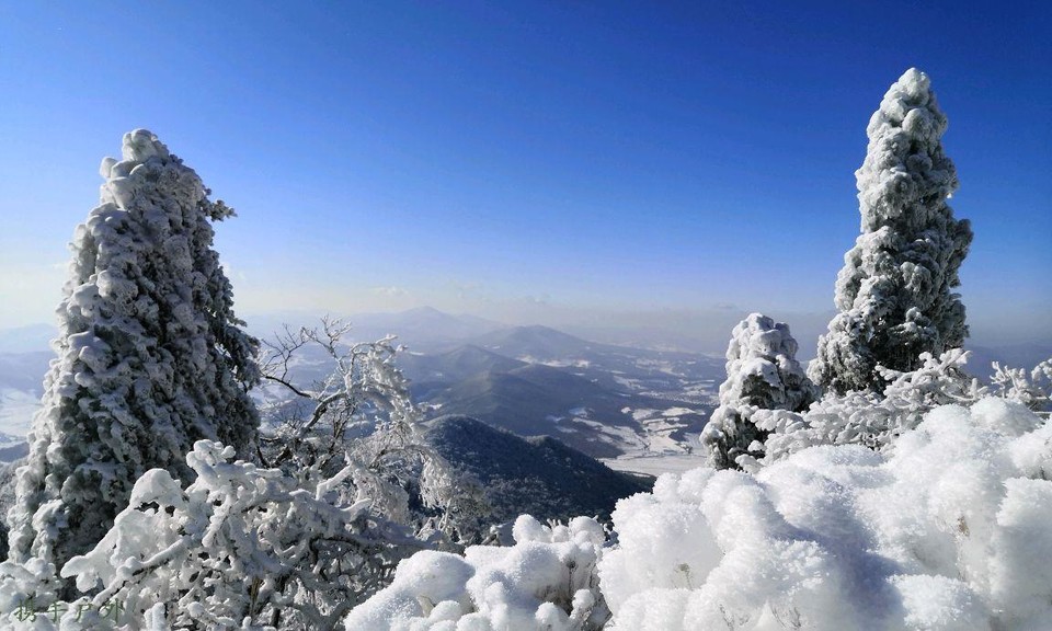 mmexport57a2fc58edcd51141d407b8f7edd251f