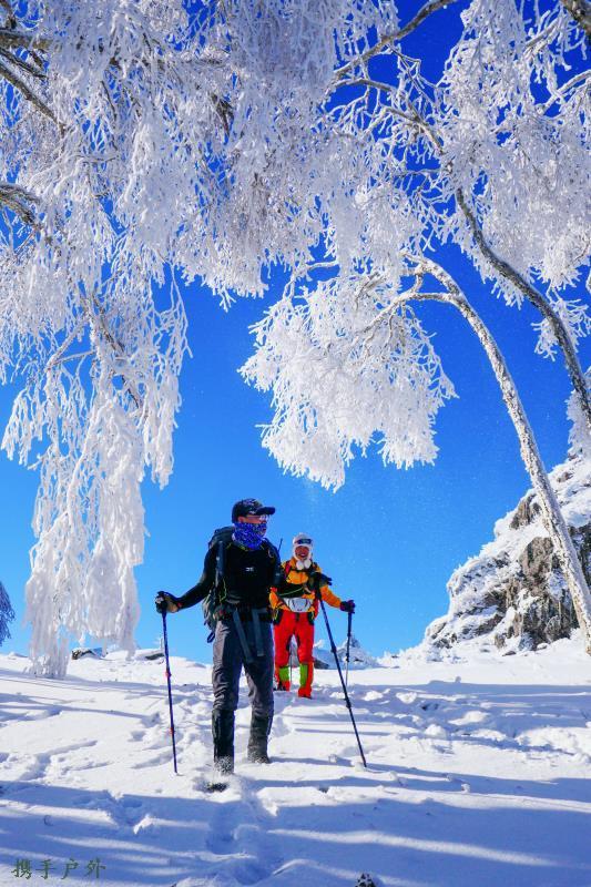 mmexport1606719035138