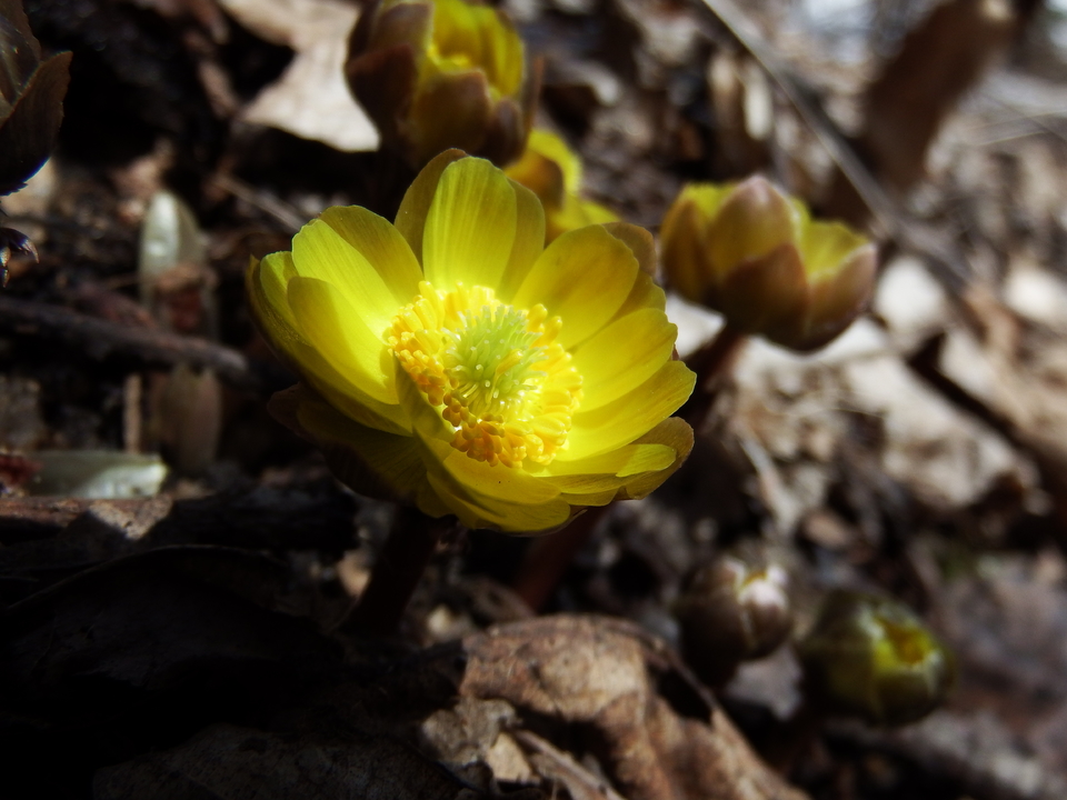 2017.03.19三道河，休闲 067