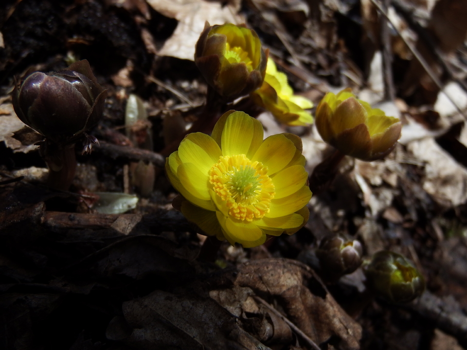 2017.03.19三道河，休闲 070