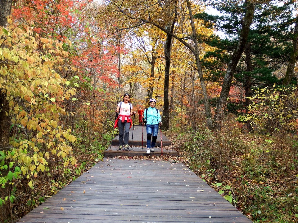 2017.10.07休闲秋游南楼山 134