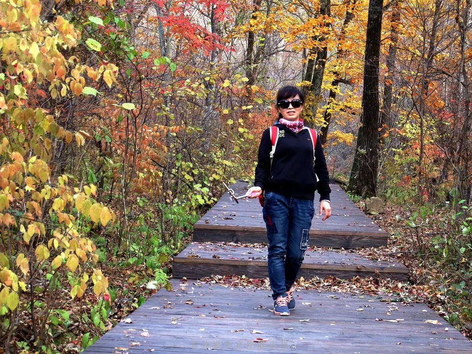 2017.10.07休闲秋游南楼山 148