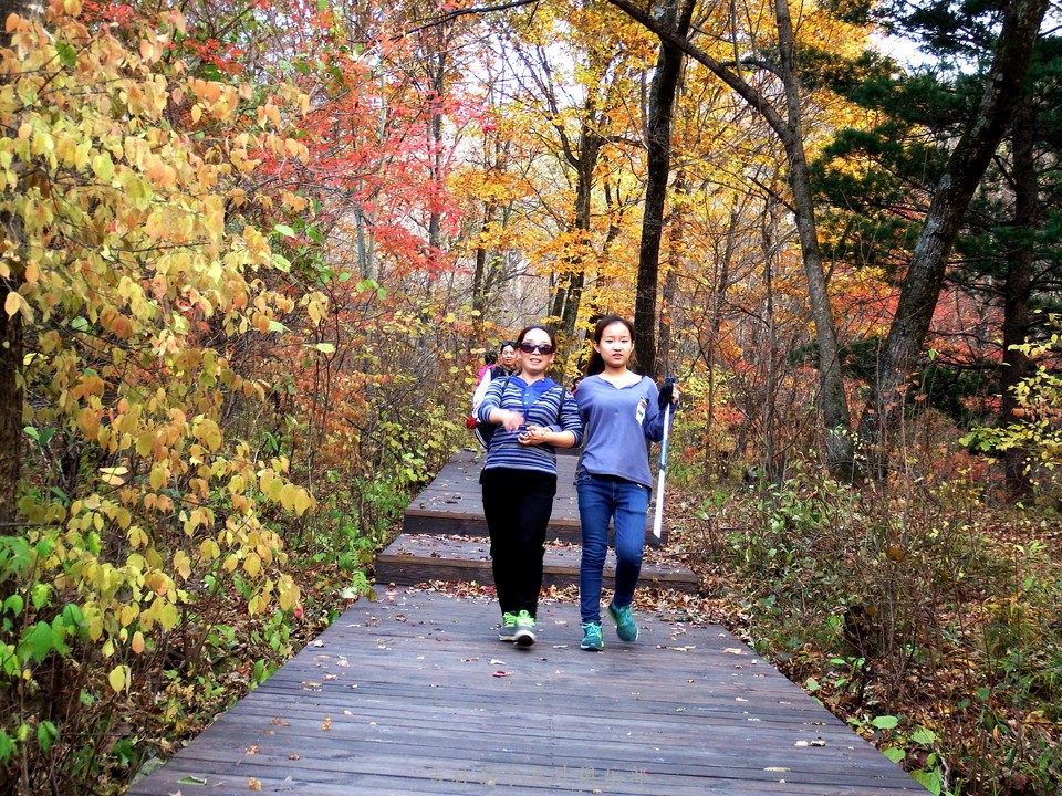 2017.10.07休闲秋游南楼山 154