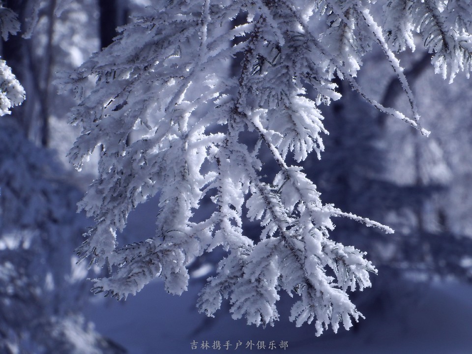 2018.02.16戊戌年初二老爷岭 072